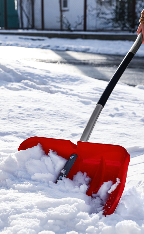 untitled design 2026 03 03t074211.197 untitled design 2026 03 03t074211.197