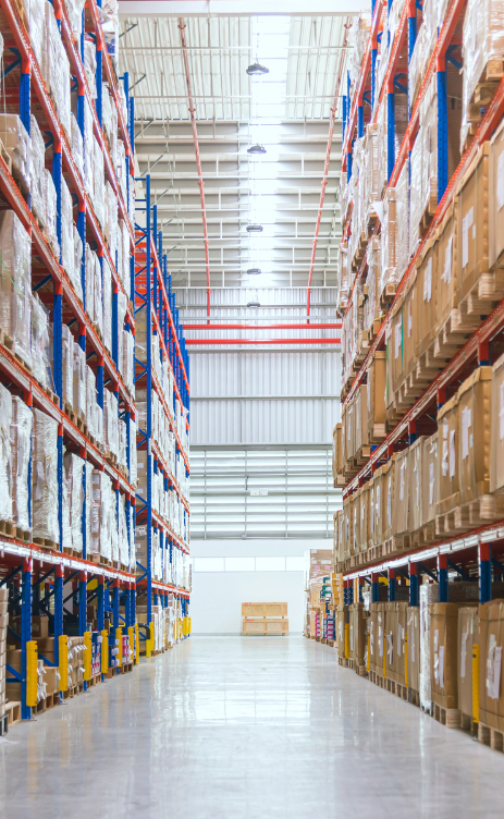 untitled design 2026 03 03t074441.270 untitled design 2026 03 03t074441.270